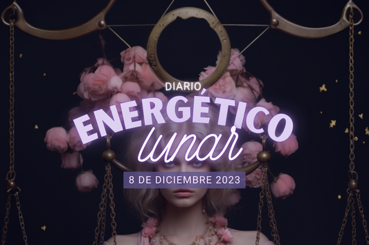 8 Diciembre 2023