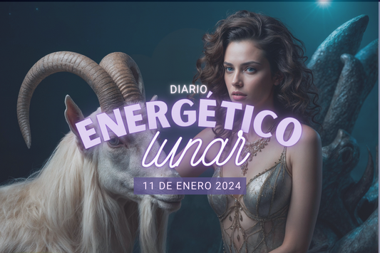 11 Enero 2024