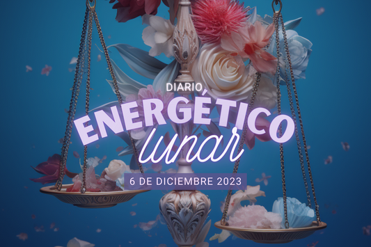 6 Diciembre 2023