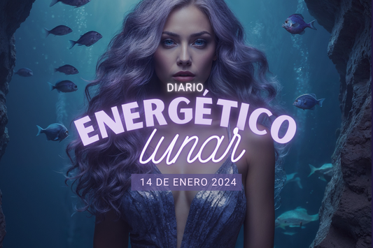 14 Enero 2024