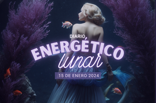 15 Enero 2024