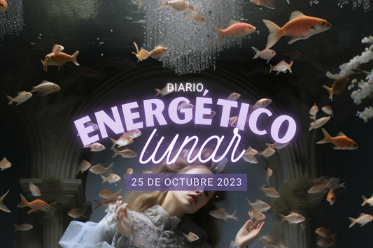 25 Octubre 2023