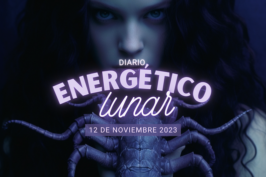 12 Noviembre 2023