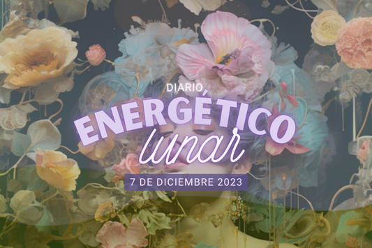 7 Diciembre 2023