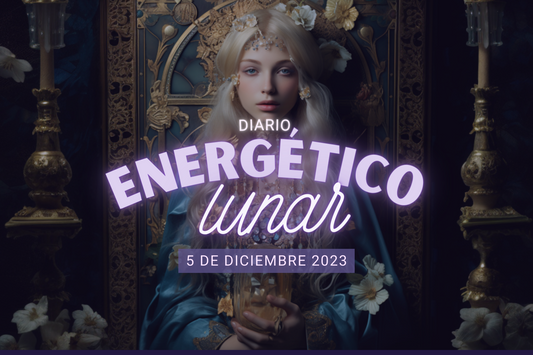 5 Diciembre 2023