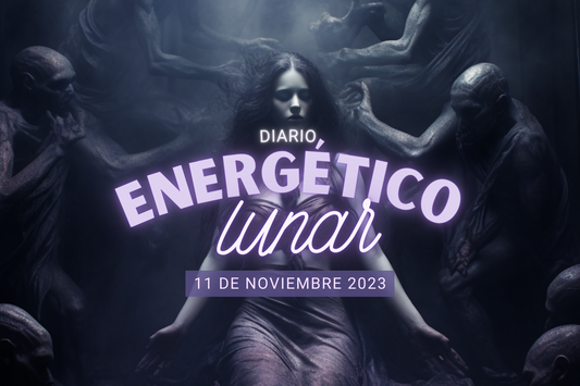 11 Noviembre 2023