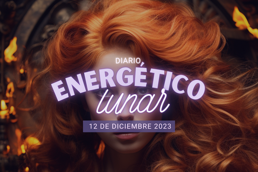 12 Diciembre 2023