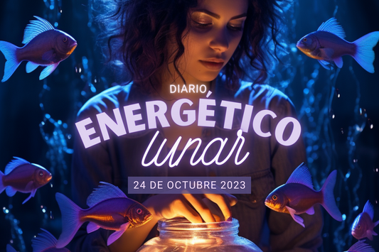 24 Octubre 2023